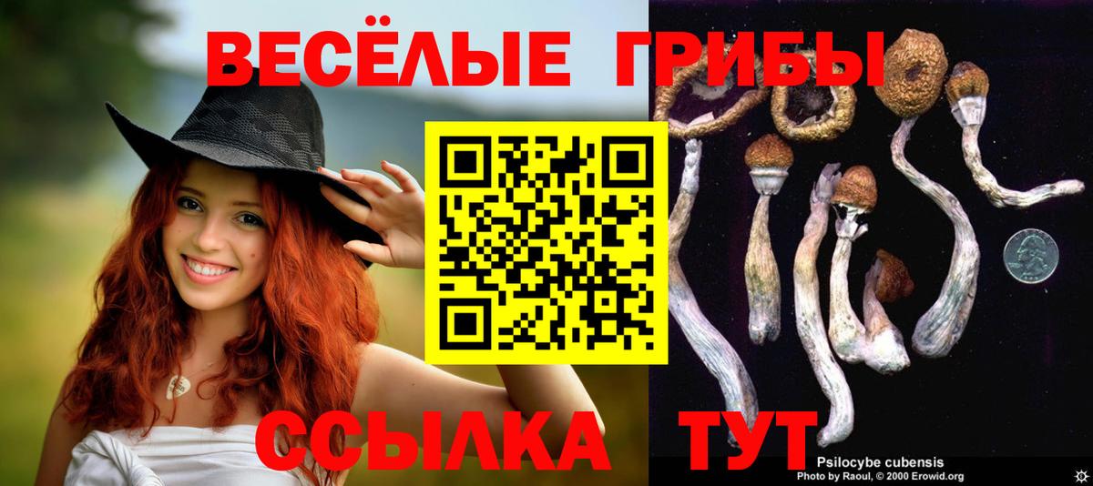 Сосновоборск  что такое наркотик  Вход с VPN  Псилоцибиновые грибы прущие грибы 